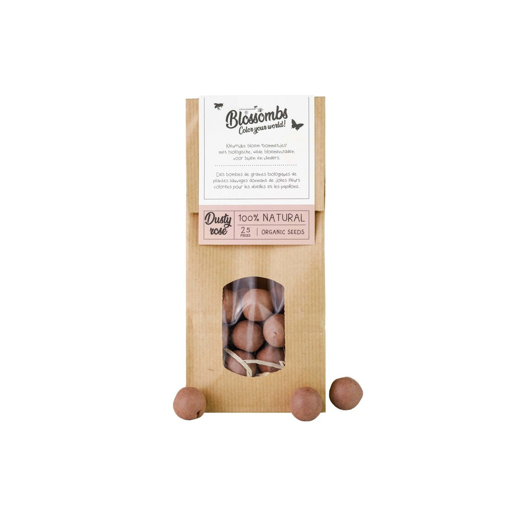 Boules de graines | Sac kraft