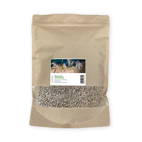 MRS Seeds & Mixtures Seigle d'hiver [fr]