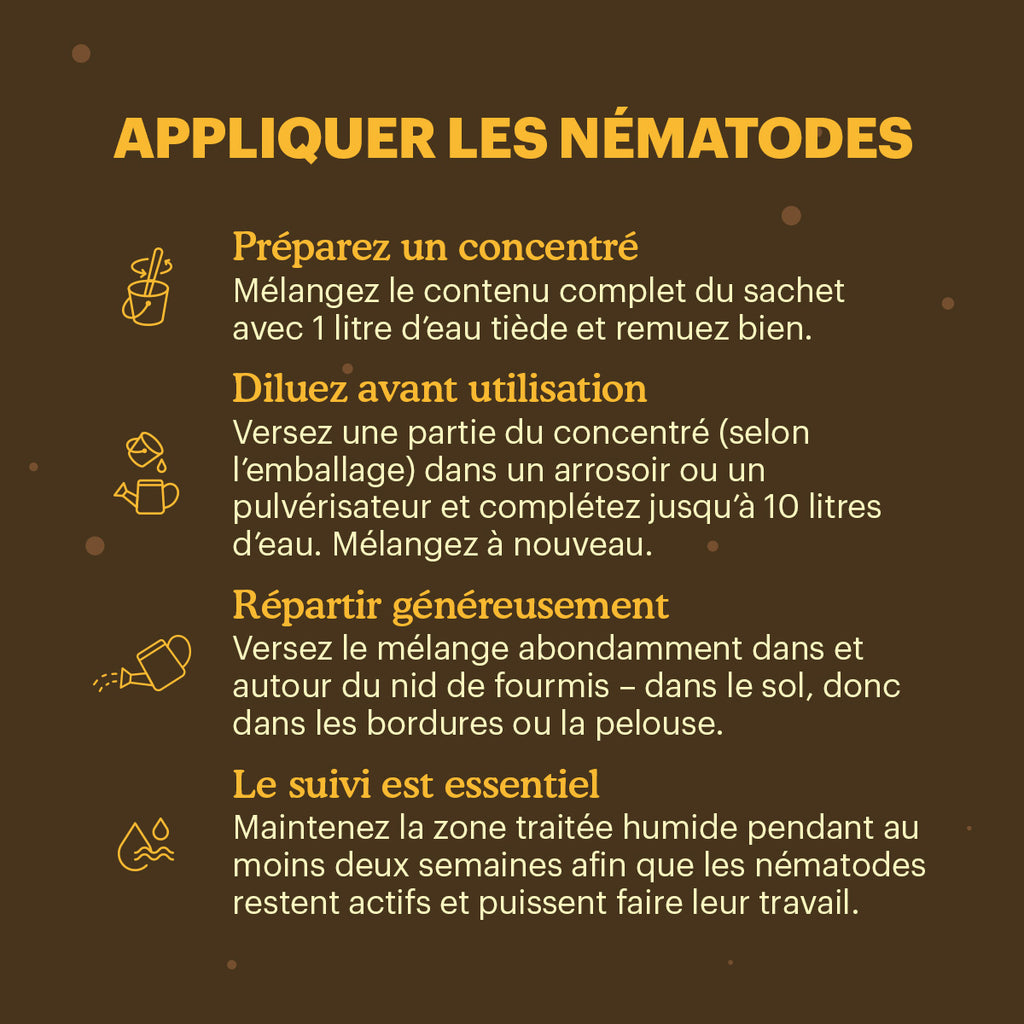 Joyfields nematodes contre les larves de tipules (Steinernema carpocapsae) [fr]