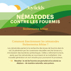 Joyfields Nematodes contre les fourmis (Steinernema feltiae) [fr]