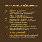 Joyfields Nematodes contre les fourmis (Steinernema feltiae) [fr]