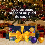 Joyfields Calendrier de l’Avent fleurs sauvages – Sow this is Christmas [fr]