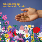 Joyfields Calendrier de l’Avent fleurs sauvages – Sow this is Christmas [fr]