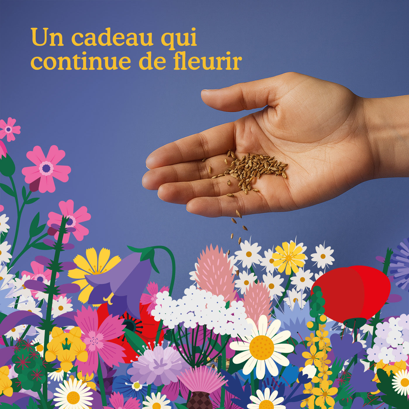 Joyfields Calendrier de l’Avent fleurs sauvages – Sow this is Christmas [fr]
