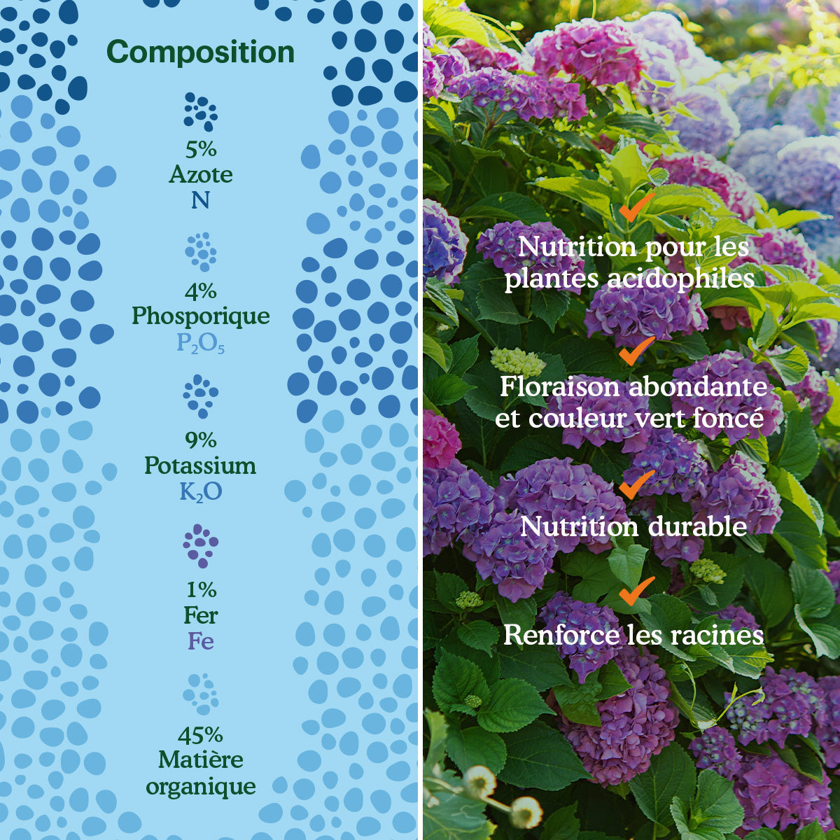 Joyfields Color Plus – Engrais pour rhodo, hortensia et azalée [fr]