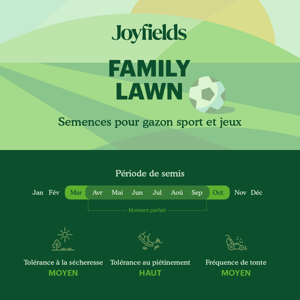 Joyfields Family Lawn – Semences de gazon sport et jeux [fr]