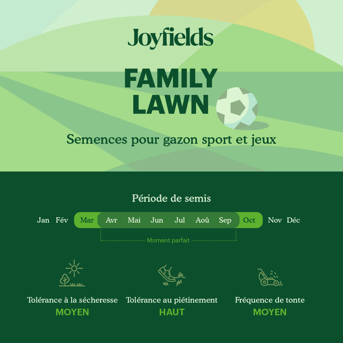 Joyfields Family Lawn – Semences de gazon sport et jeux [fr]