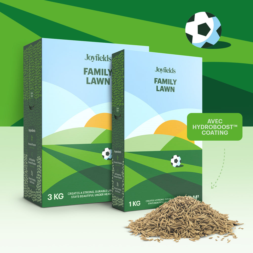 Joyfields Family Lawn – Semences de gazon sport et jeux [fr]