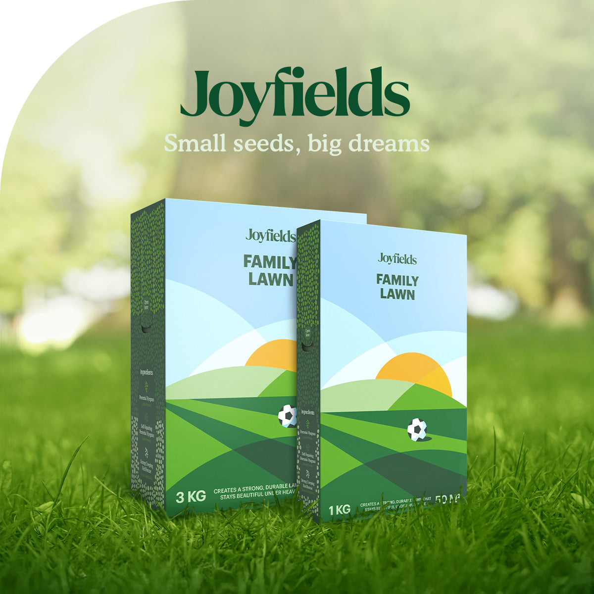 Joyfields Family Lawn – Semences de gazon sport et jeux [fr]