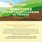 Joyfields Nematodes contre les moucherons du terreau (Steinernema feltiae) [fr]