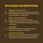 Joyfields Nematodes contre les moucherons du terreau (Steinernema feltiae) [fr]