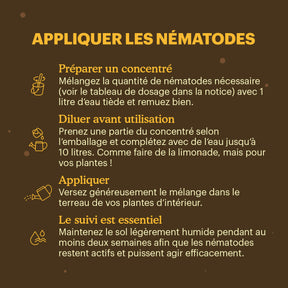 Joyfields Nematodes contre les moucherons du terreau (Steinernema feltiae) [fr]
