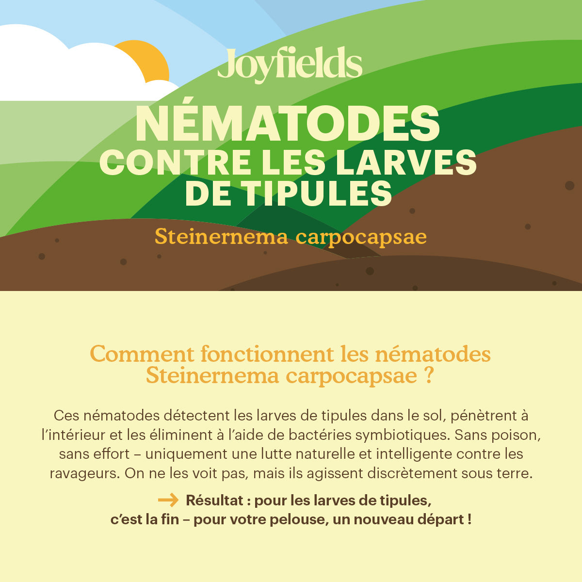 Joyfields Nématodes contre les larves de tipules (Heterorhabditis bacteriophora) [fr]