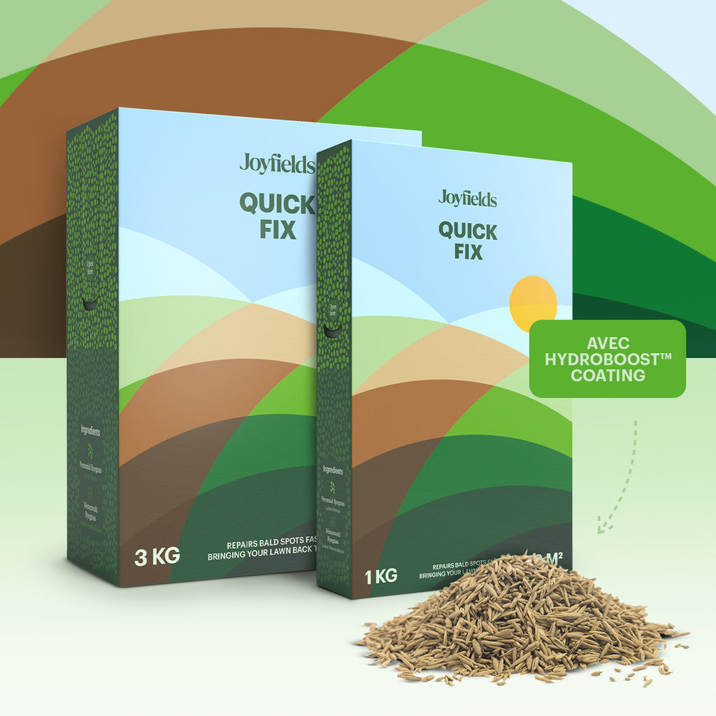 Joyfields Quick Fix – Semences de gazon de réparation [fr]