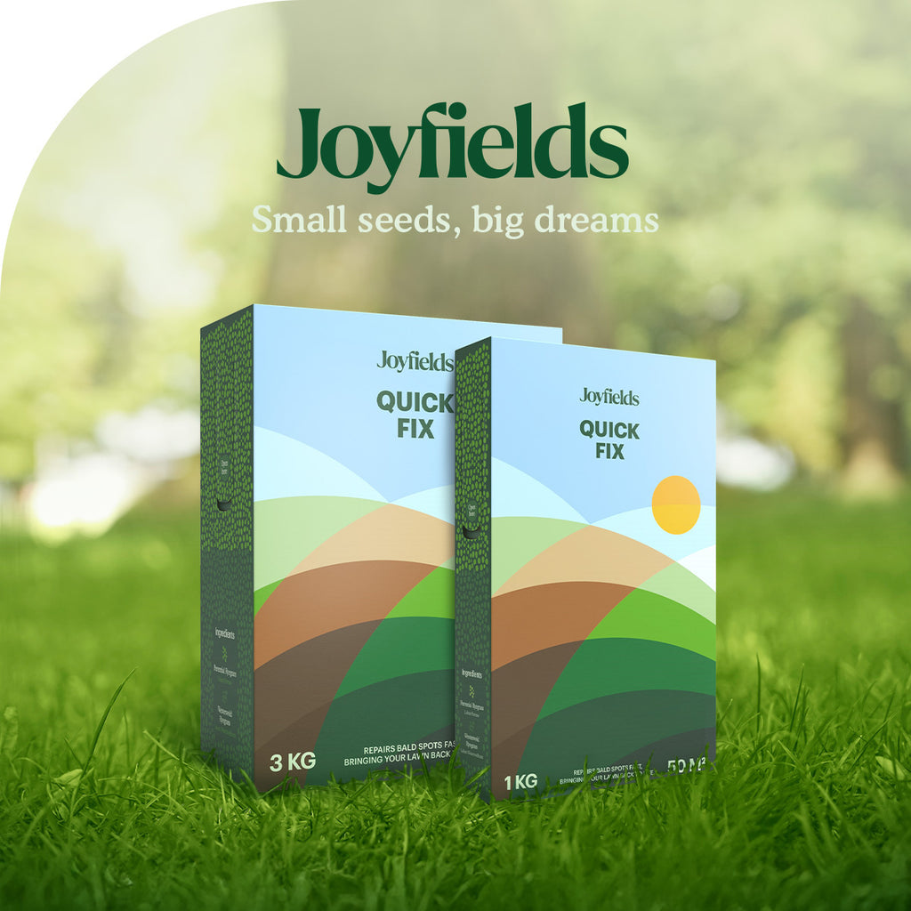 Joyfields Quick Fix – Semences de gazon de réparation [fr]