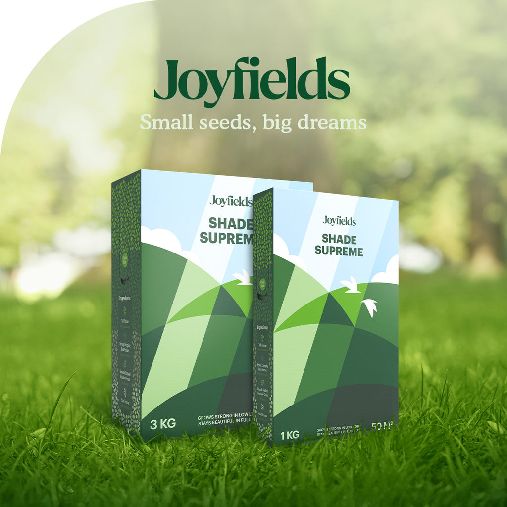 Joyfields Shade Supreme - Semences de gazon pour l’ombre [fr]