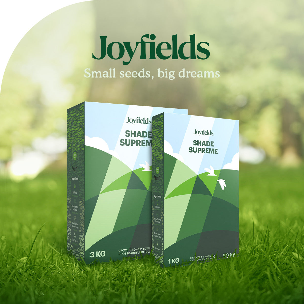 Joyfields Shade Supreme - Semences de gazon pour l’ombre [fr]