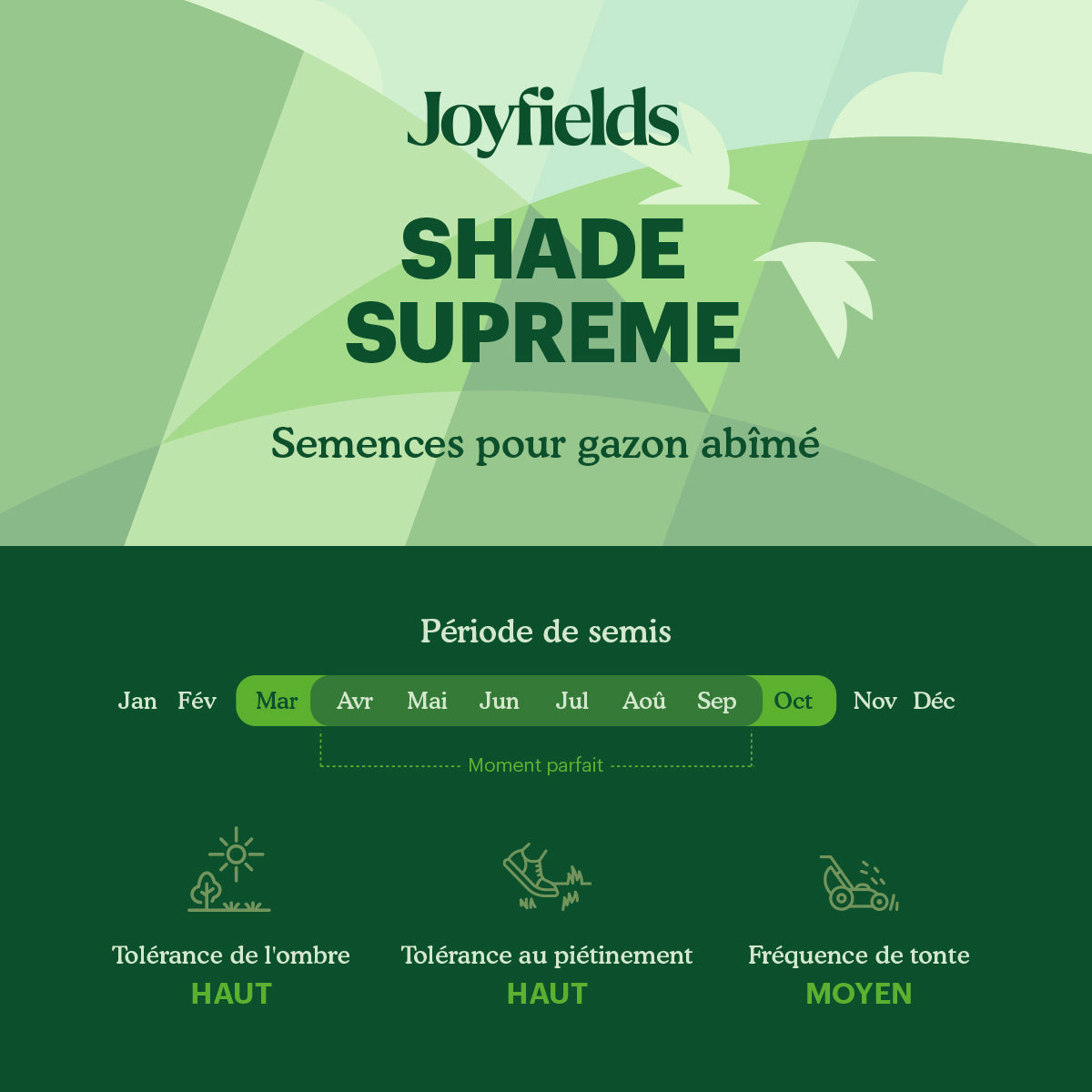 Joyfields Shade Supreme - Semences de gazon pour l’ombre [fr]