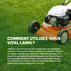 Joyfields Vital Lawn - Engrais pour gazon avec chaux [fr]