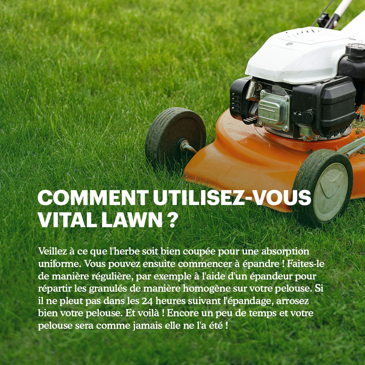 Joyfields Vital Lawn - Engrais pour gazon avec chaux [fr]