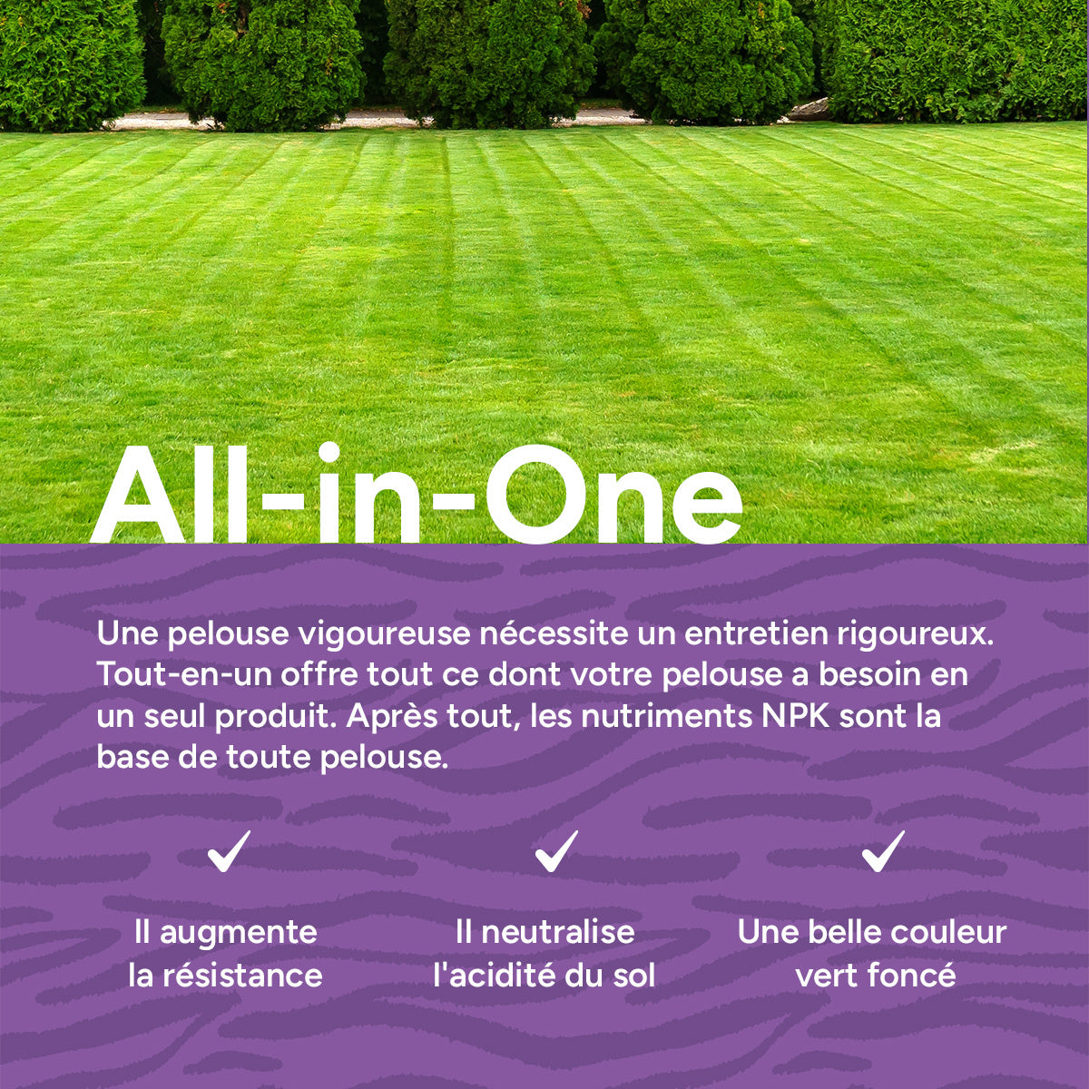 MRS Seeds & Mixtures All-in-One - Engrais pour gazon avec chaux | 20 kg - 500 m² [fr]
