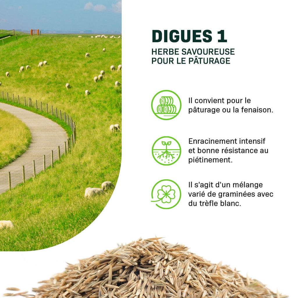 MRS Seeds & Mixtures Digues 1 - 15 kg | Herbe savoureuse pour le pâturage [fr]