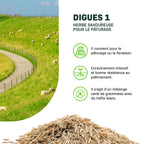 MRS Seeds & Mixtures Digues 1 - 15 kg | Herbe savoureuse pour le pâturage [fr]