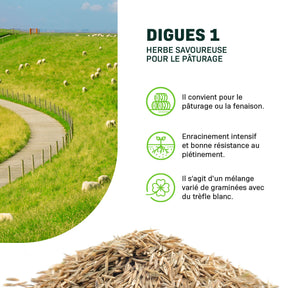 MRS Seeds & Mixtures Digues 1 - 15 kg | Herbe savoureuse pour le pâturage [fr]