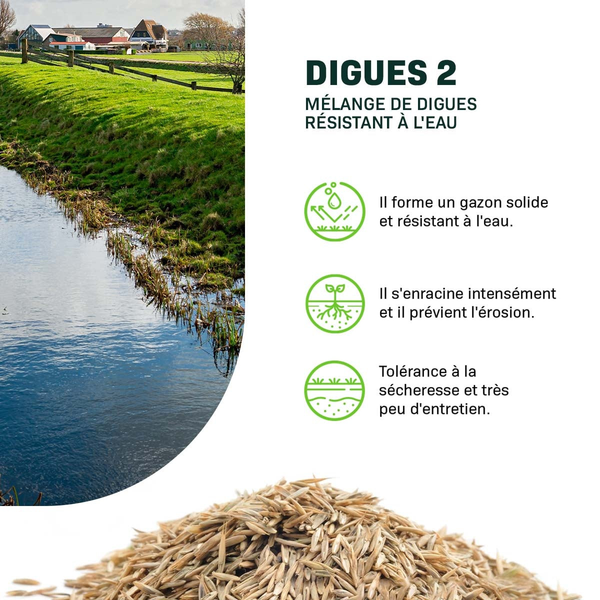 MRS Seeds & Mixtures Digues 2 - 15 kg | Mélange de digues résistant à l'eau [fr]