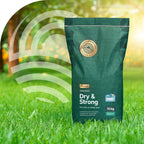 MRS Seeds & Mixtures Dry & Strong - Gazon résistant à la sécheresse 10 kg [fr]