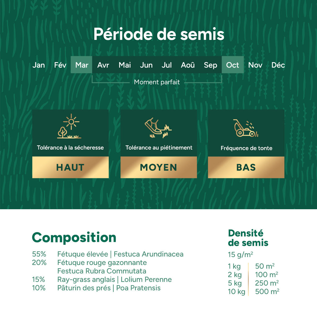 MRS Seeds & Mixtures Dry & Strong - Gazon résistant à la sécheresse 10 kg [fr]