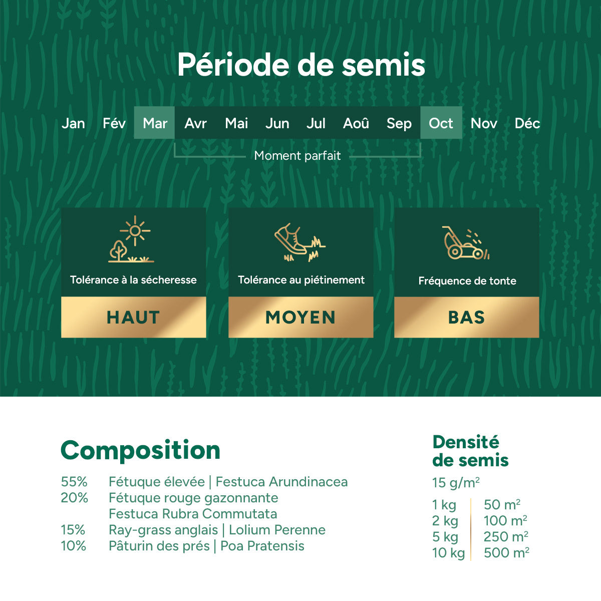 MRS Seeds & Mixtures Dry & Strong - Gazon résistant à la sécheresse 10 kg [fr]