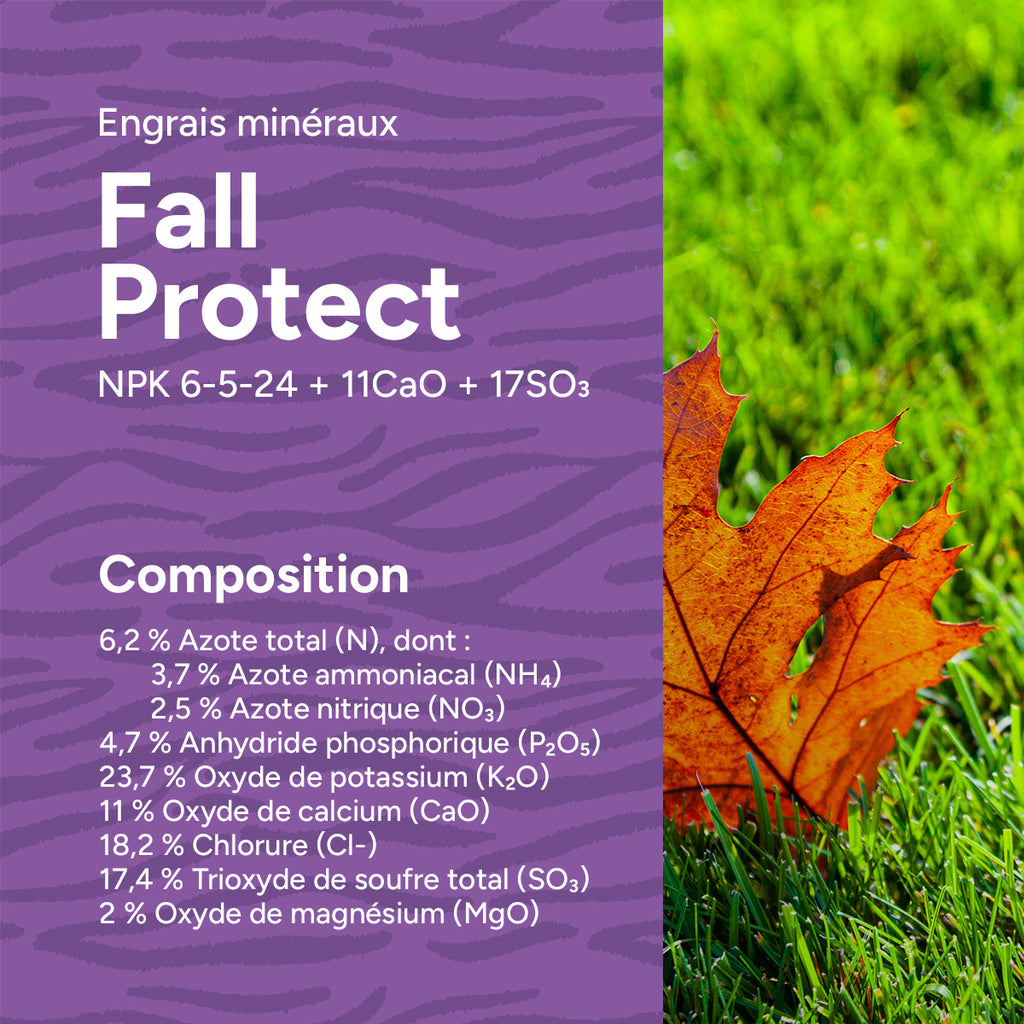 MRS Seeds & Mixtures Fall Protect - Engrais pour gazon d'automne | 20 kg - 500 m² [fr]