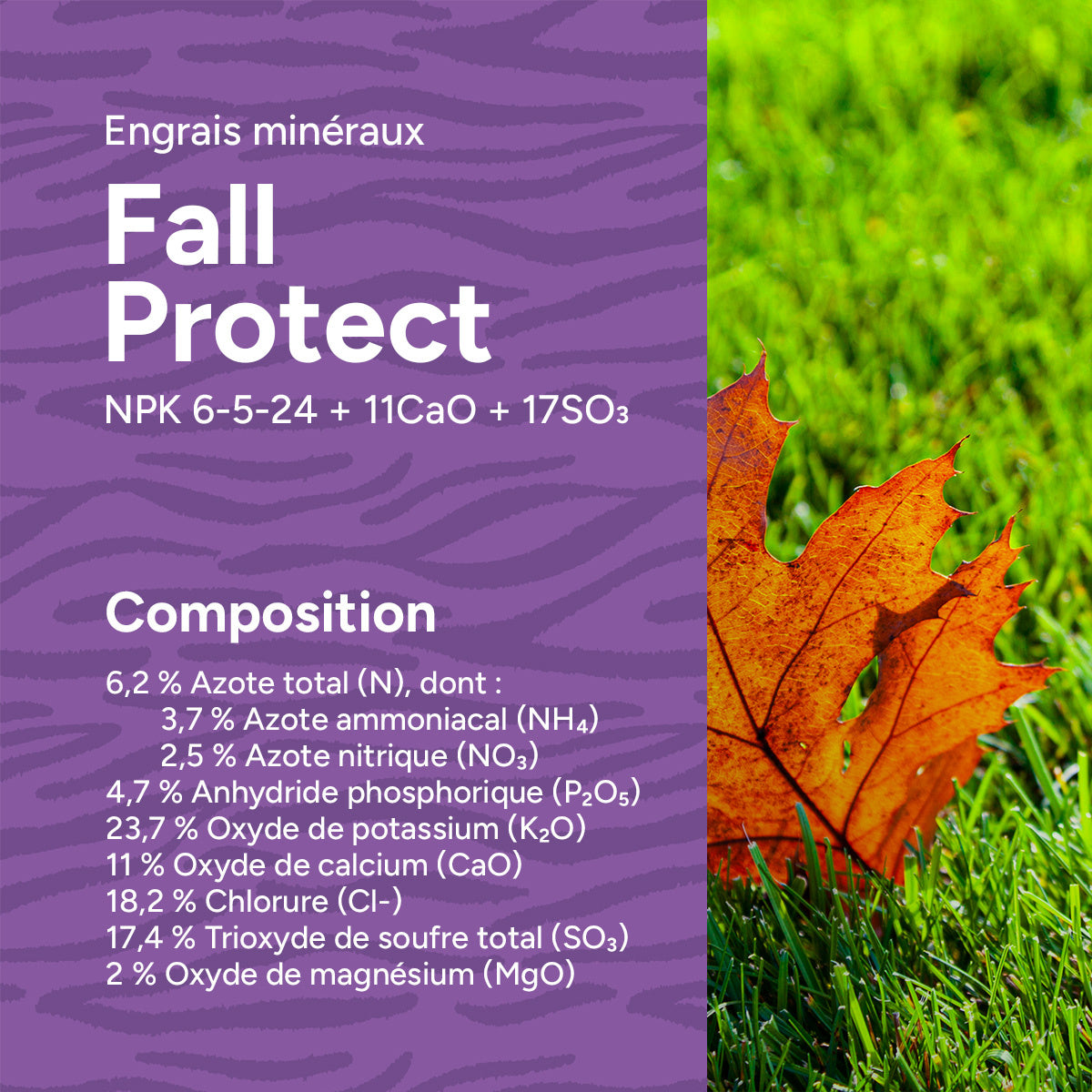 MRS Seeds & Mixtures Fall Protect - Engrais pour gazon d'automne | 20 kg - 500 m² [fr]