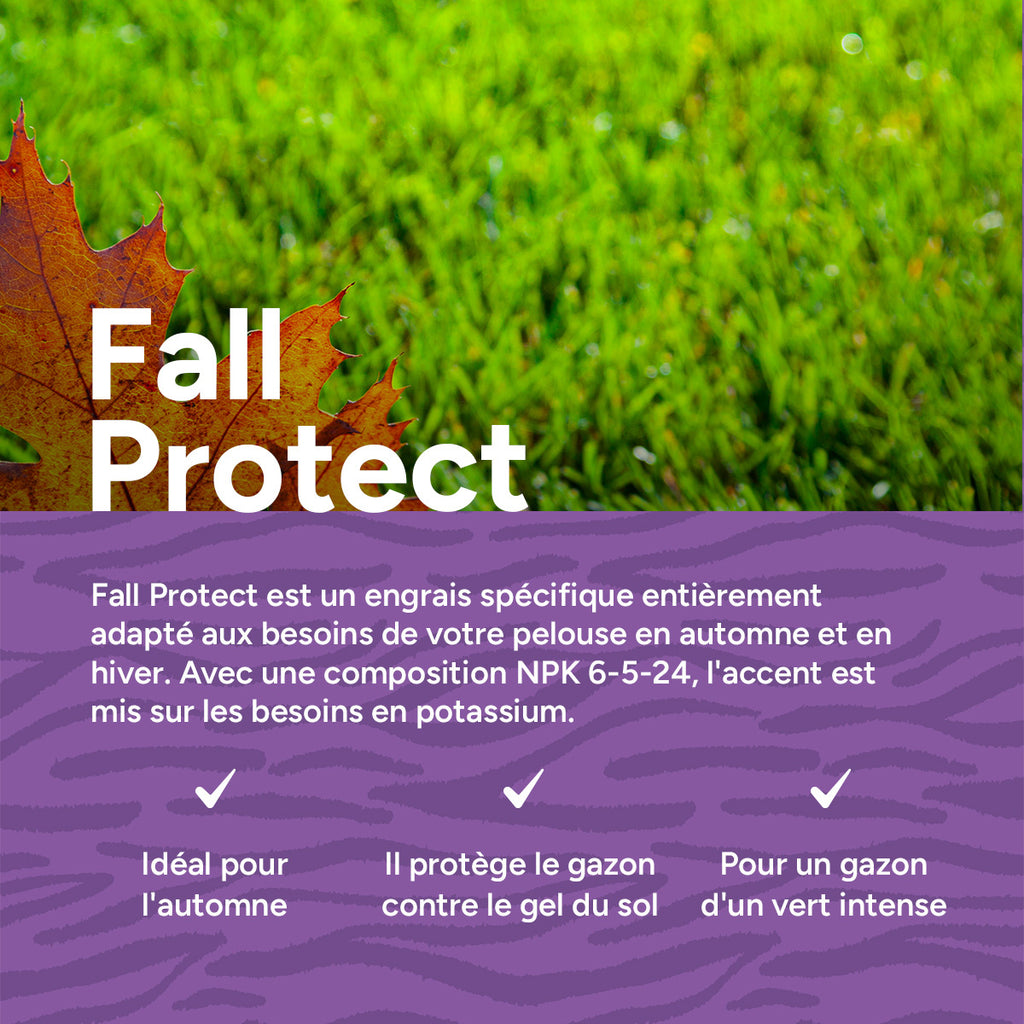 MRS Seeds & Mixtures Fall Protect - Engrais pour gazon d'automne | 20 kg - 500 m² [fr]
