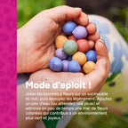MRS Seeds & Mixtures Flower Bombs - Bombes de graines mix - Félicitations ! [fr]