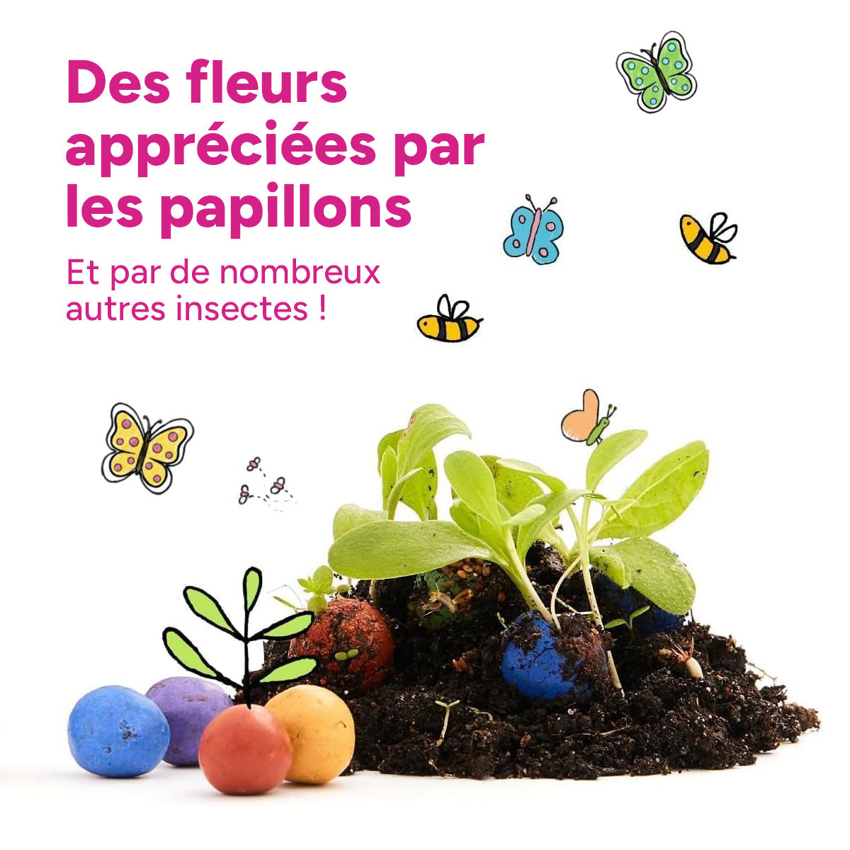 MRS Seeds & Mixtures Flower Bombs - Bombes de graines mix - Félicitations ! [fr]