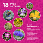 MRS Seeds & Mixtures Flower Bombs - Zaadbommen mix - Originals [fr]