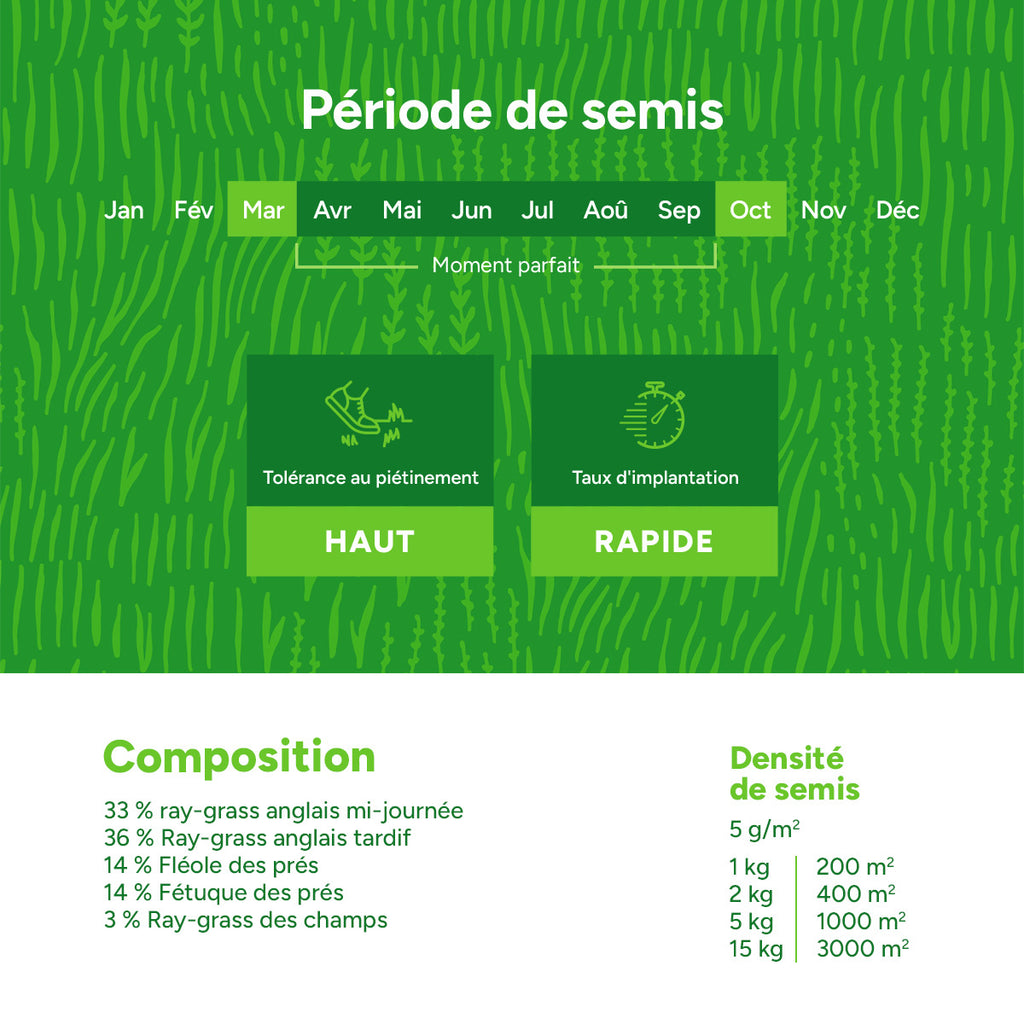 MRS Seeds & Mixtures Graze - BG11 | Mélange prairie longue durée [fr]