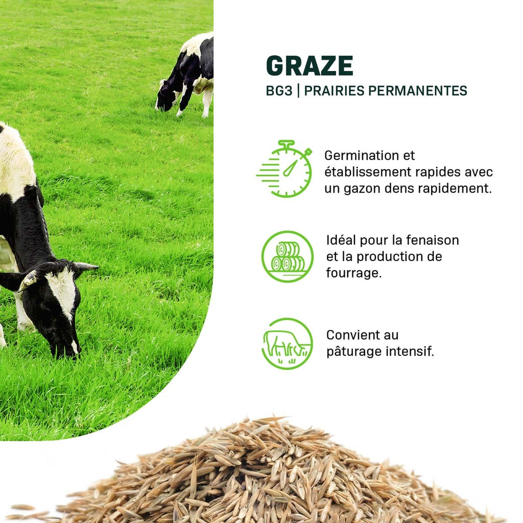 MRS Seeds & Mixtures Graze - BG3 | Mélange prairie longue durée 15KG [fr]