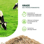 MRS Seeds & Mixtures Graze - BG3 | Mélange prairie longue durée 15KG [fr]