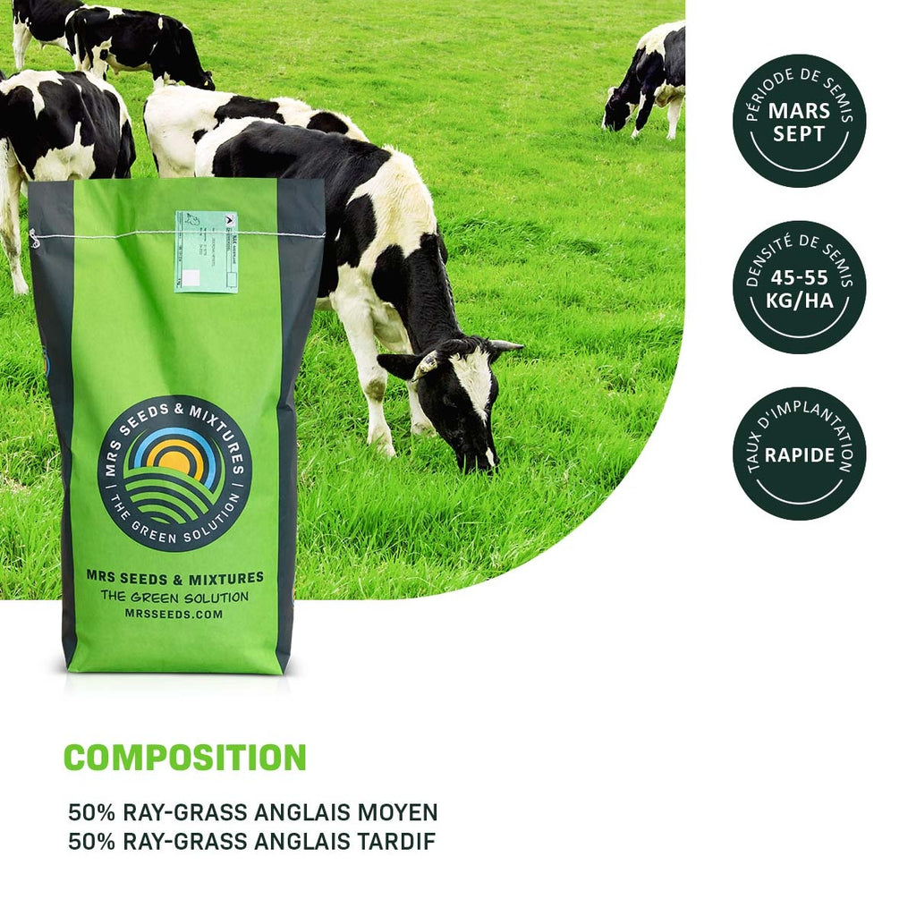 MRS Seeds & Mixtures Graze - BG3 | Mélange prairie longue durée 15KG [fr]