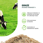 MRS Seeds & Mixtures Graze - BG4 | Mélange prairie longue durée 15KG [fr]