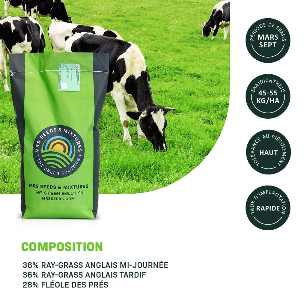 MRS Seeds & Mixtures Graze - BG4 | Mélange prairie longue durée 15KG [fr]