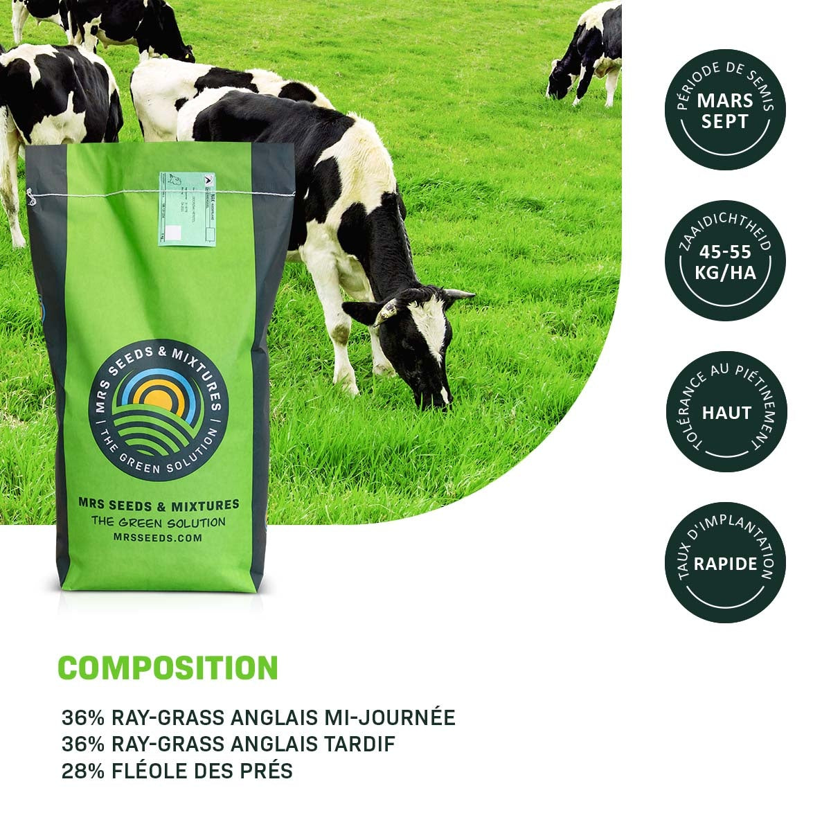 MRS Seeds & Mixtures Graze - BG4 | Mélange prairie longue durée 15KG [fr]