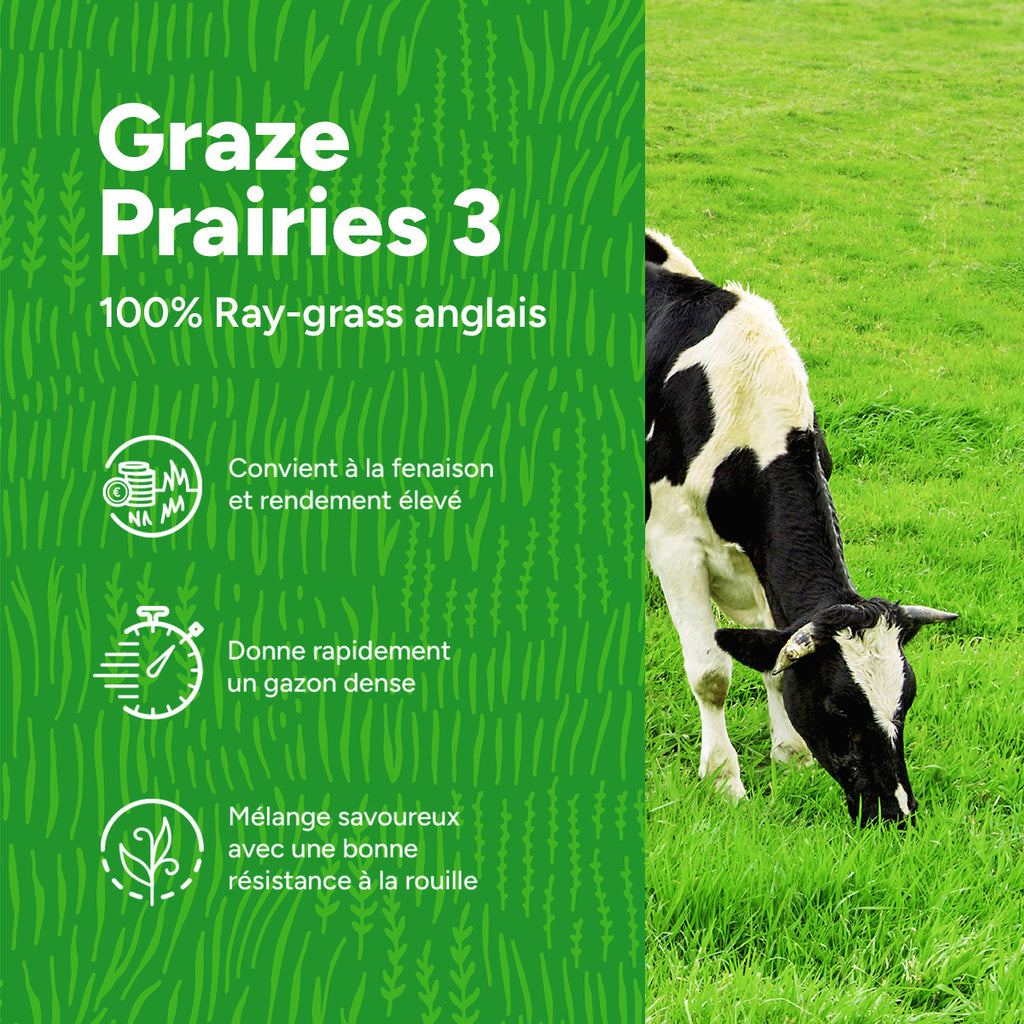 MRS Seeds & Mixtures Graze | Prairies 3 [fr]