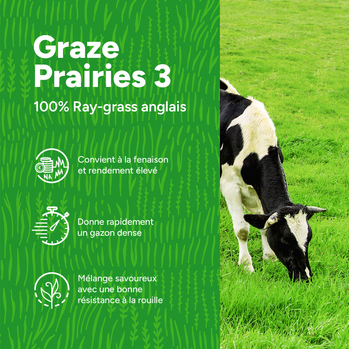 MRS Seeds & Mixtures Graze | Prairies 3 [fr]