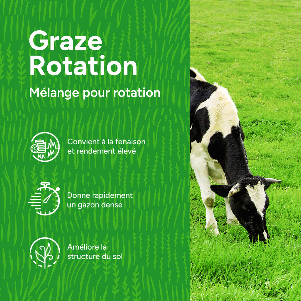 MRS Seeds & Mixtures Graze - Rotation | Mélange pour rotation 15 kg [fr]