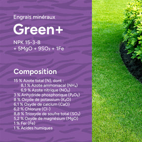 MRS Seeds & Mixtures Green+ Extra Vert & Anti Mousse | 20 kg - 500 m² [fr]