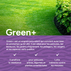 MRS Seeds & Mixtures Green+ Extra Vert & Anti Mousse | 20 kg - 500 m² [fr]
